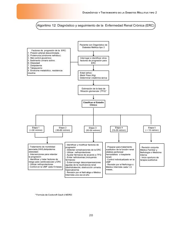 GUIA DE REFERENCIA RAPIDA DE DIABETES MELLITUS 2 GUIA DE REFERENCIA RAPIDA DE DIABETES MELLITUS 2