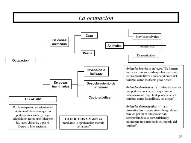 Elementos De Validez Del Acto Juridico Pdf File