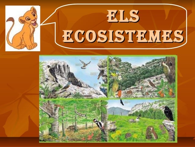 http://www.primaria.librosvivos.net/archivosCMS/3/3/16/usuarios/103294/9/cm4_u6_act2_val_1/frame_prim.swf