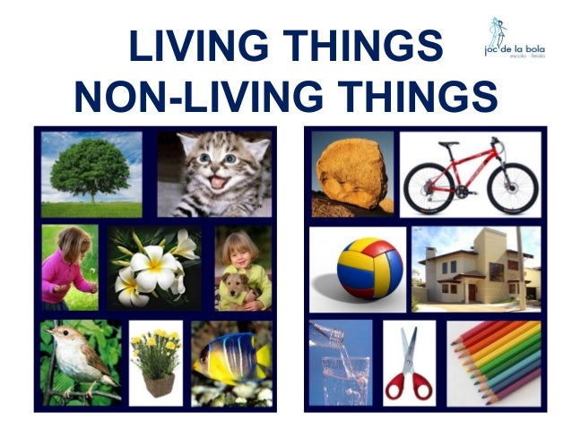 living-things-non-living-things