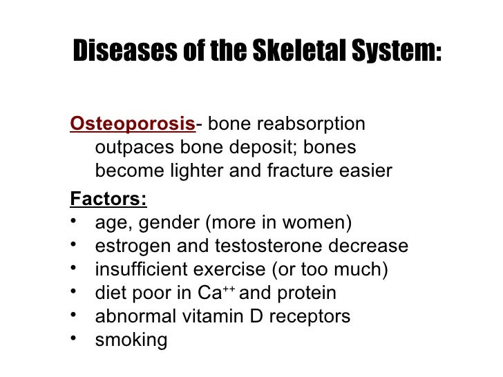 The skeletal system quizlet