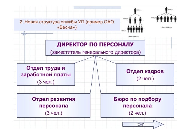 персонала службы структура пример