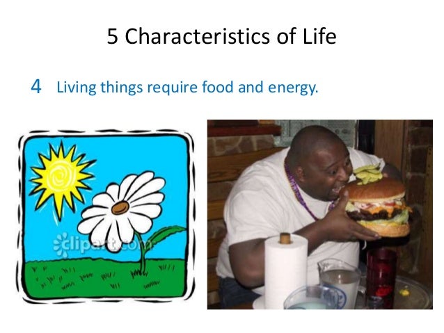 Kidsbiology.com   characteristics of life