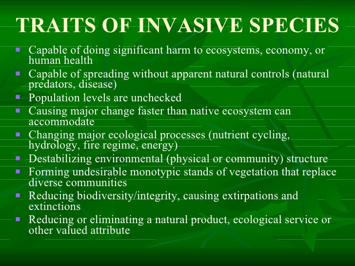 Invasive Species