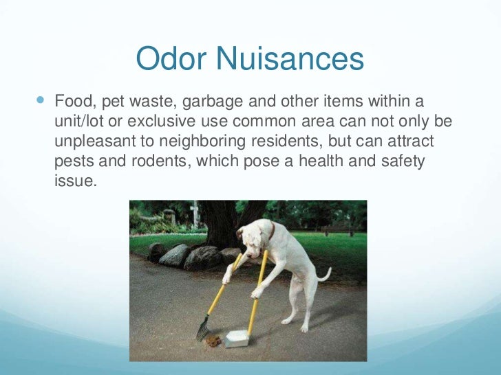 Dealing With Nuisance Violations