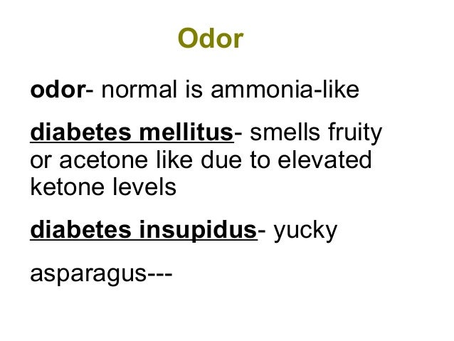 urine smells like ammonia physiology and anatomy of urinary system urine smells like ammonia physiology and anatomy of urinary system
