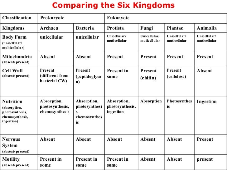 6 Kingdom Classification Chart