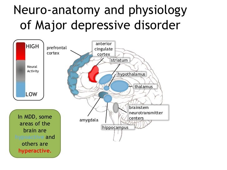 04 09-12 neuro-modulation power point