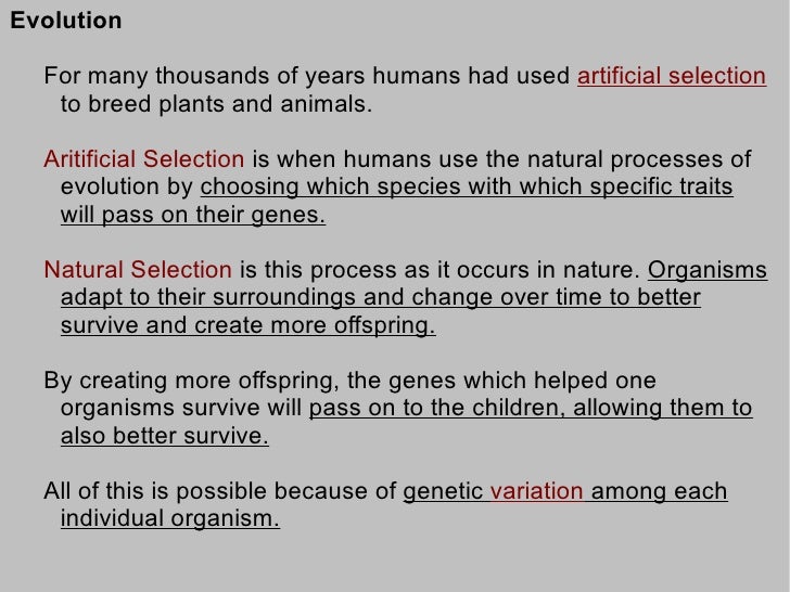 7th Grade Life Science - Evolution