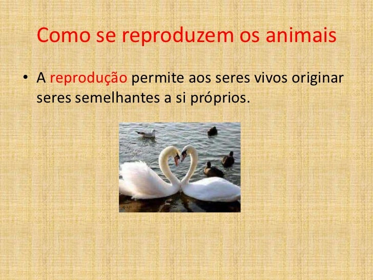 04 como se reproduzem os animais