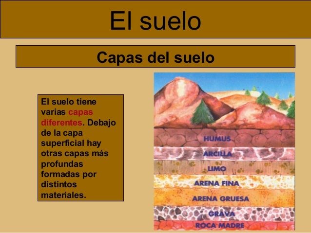 El medio para el tratamiento del hongo de la piel