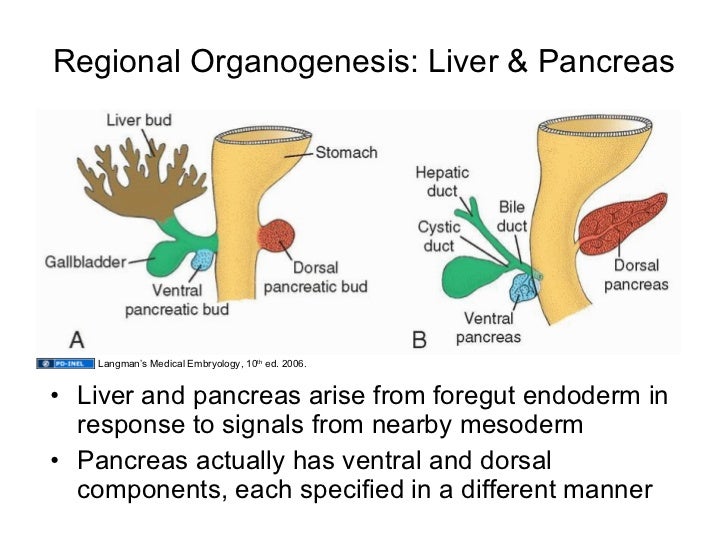 image.slidesharecdn.com