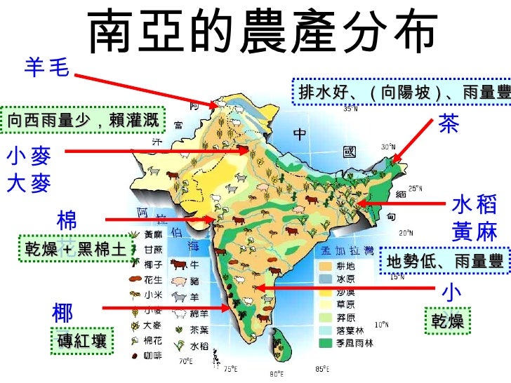 南亞的農產分布 茶 向西雨量少，賴灌溉 地勢低、雨量豐 排水好、 ( 向陽坡 ) 、雨量豐 磚紅壤 乾燥 + 黑棉土 乾燥 羊毛 小麥大麥 棉花 椰子 水稻黃麻 小米 