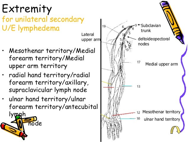 楊靜蘭物理治療師-癌症病人淋巴水腫實務操作20130602