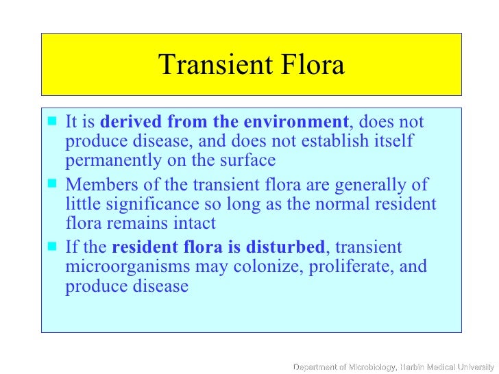 normal microbial flora