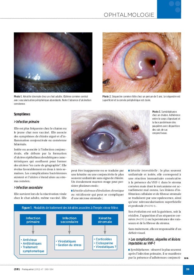 comment soigner une keratite virale