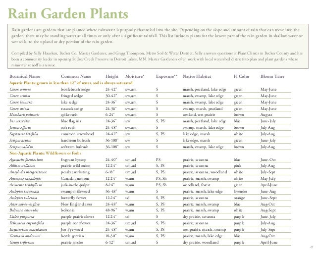Rain Garden Plants Lists - University of Minnesota