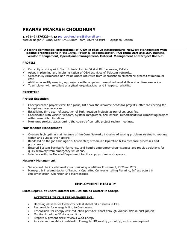 ppc resume 28 images professional ppc expert templates ppc resume 28 images professional ppc expert templates