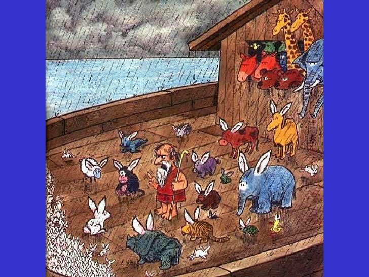 chaud lapin ! 08-dessins-humoristiques-sur-les-animaux-5-728