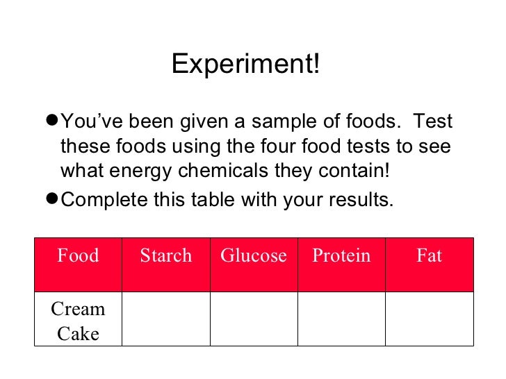 Y7 Life 08 food tests