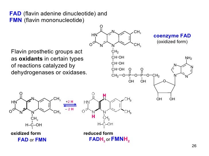08 Heterocyclic Compounds