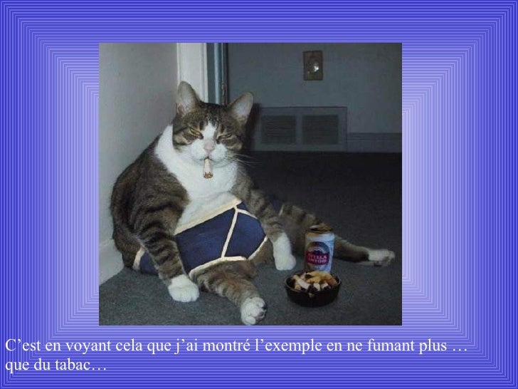 Les maladies des poumons chez la personne du fumer le prix du traitement