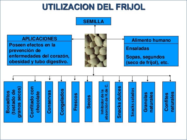 08 proc frijol 08 proc frijol