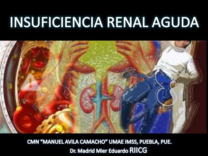 INSUFICIENCIA RENAL AGUDA CRONICA PEDIATRIA insuficiencia renal aguda cronica pediatria: