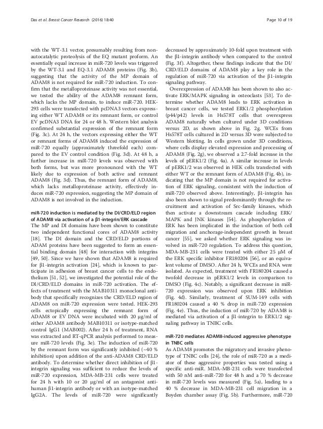 breast cancer essays
