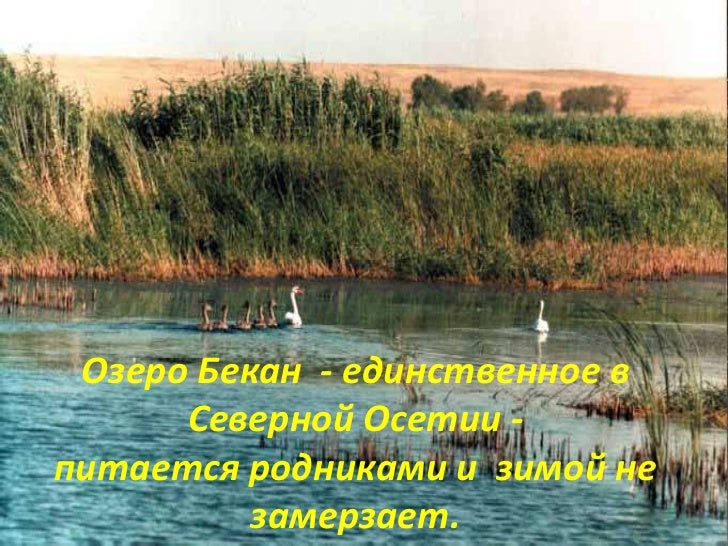 озеро бекан северная осетия рыбалка озеро бекан северная осетия рыбалка