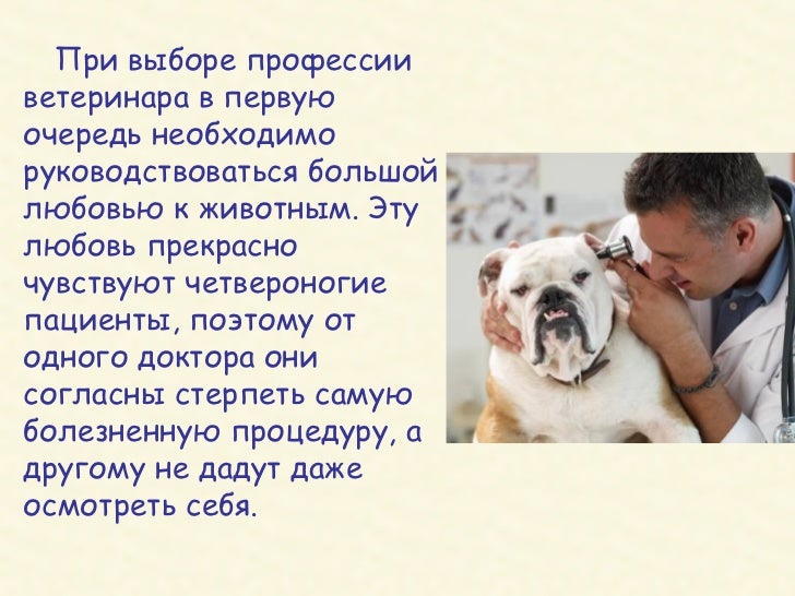 Если болит левый бок что там находиться