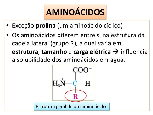 classificados em