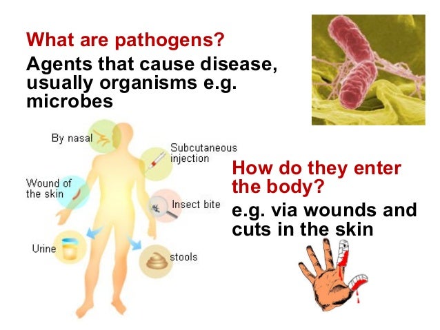 BIOLOGY FORM 5 CHAPTER 1 - 1.5 BODY DEFENCE MECHANISM