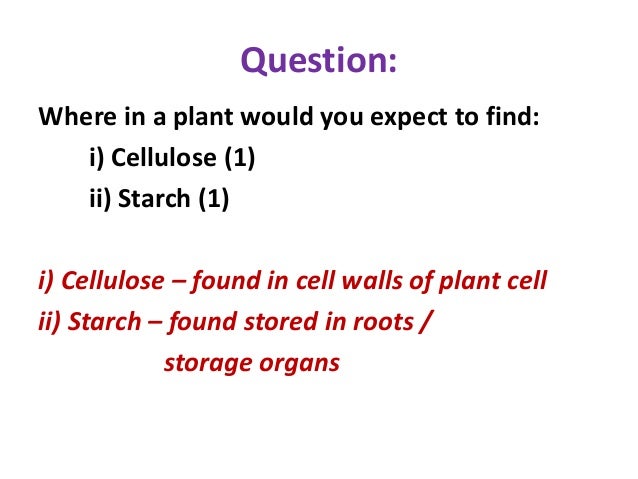 biological essay biological essay
