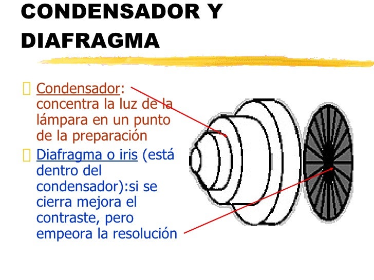 1-2 El Microscopio
