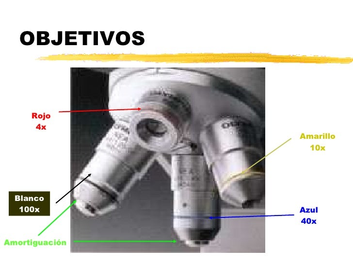 1-2 El Microscopio