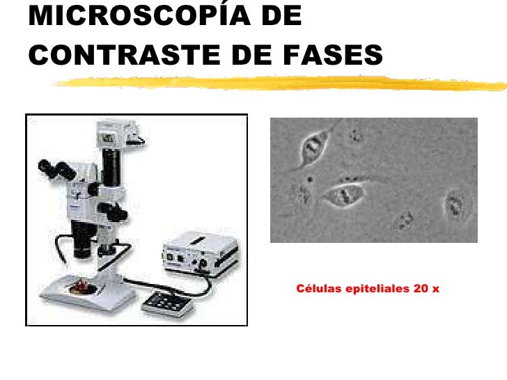 1-2 El Microscopio