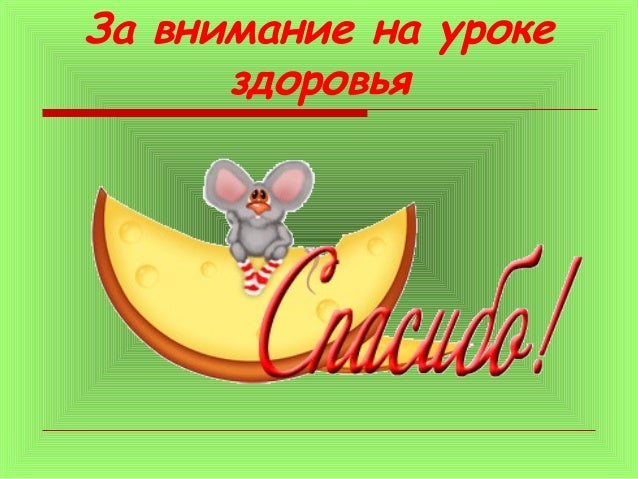 школа здорового питания и похудения бердянск школа здорового питания и похудения бердянск
