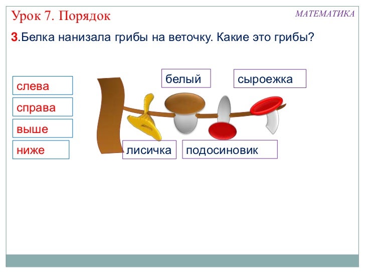 гриб лисички доклад класс про 6