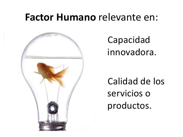 Resultado de imagen para funcion de la gestion del talento humano entre sistemas abiertos