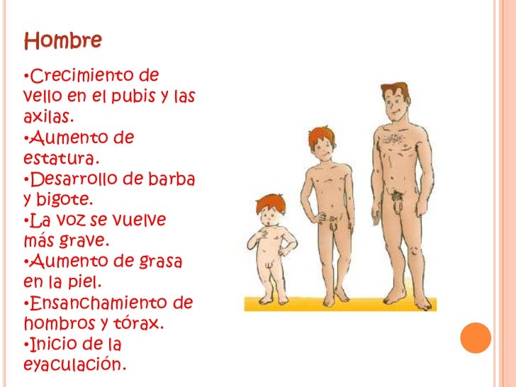 Había unos pequeños puntos sobre el miembro