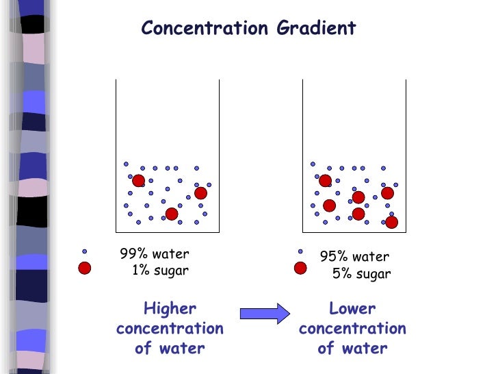 1. Introduction To Cells