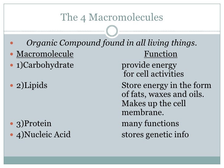 the structure and function of macromolecules The structure and function of macromolecules 45 key terms polymer glycogen protein denaturation monomer cellulose amino acid nucleic acid macromolecule chitin. the structure and function of macromolecules The structure and function of macromolecules 45 key terms polymer glycogen protein denaturation monomer cellulose amino acid nucleic acid macromolecule chitin.
