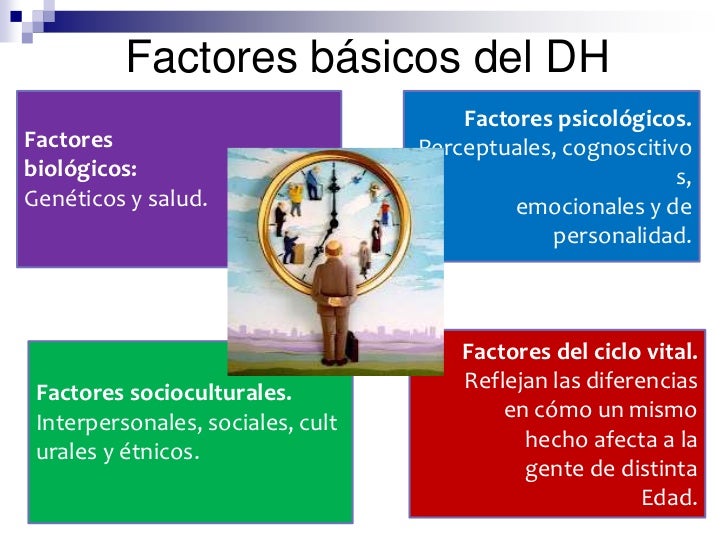 Inicio curso Etapas del Desarrollo Humano
