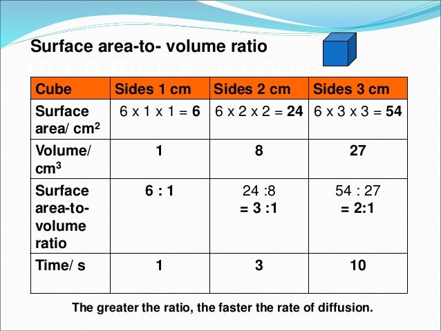 surface area volume ratio and relation rate diffusion Lab - modeling cells: surface area to volume ratios the surface area of the membrane is important in determining how fast diffusion can occur would a greater rate of diffusion occur – within a cell with a surface area to volume ratio of 6:1. surface area volume ratio and relation rate diffusion Lab - modeling cells: surface area to volume ratios the surface area of the membrane is important in determining how fast diffusion can occur would a greater rate of diffusion occur – within a cell with a surface area to volume ratio of 6:1.