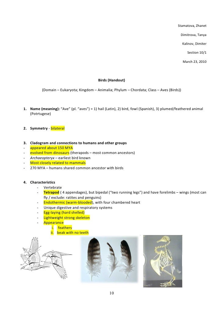 a report of kingdom of animalia a report of kingdom of animalia