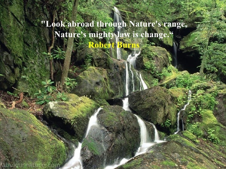 10 Great Quotes On Nature