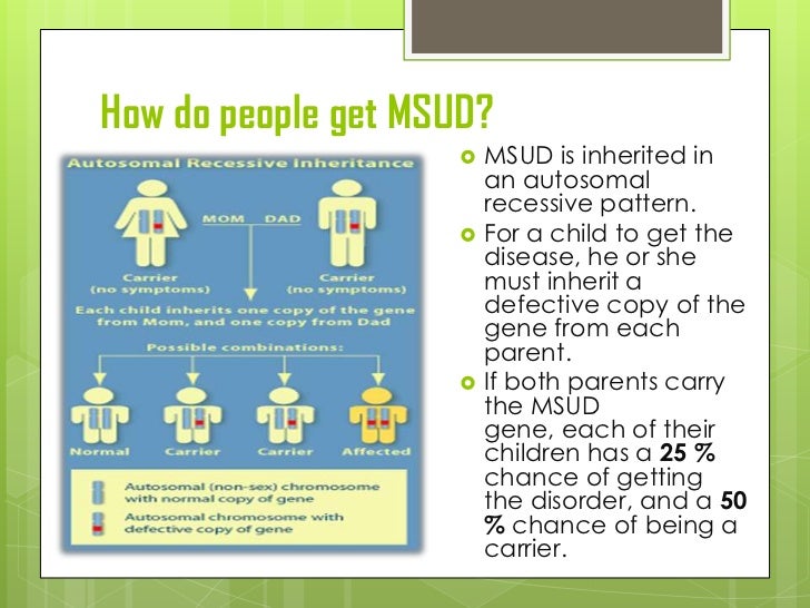 10. pangan maple syrup disease