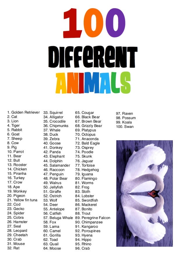 100 animals