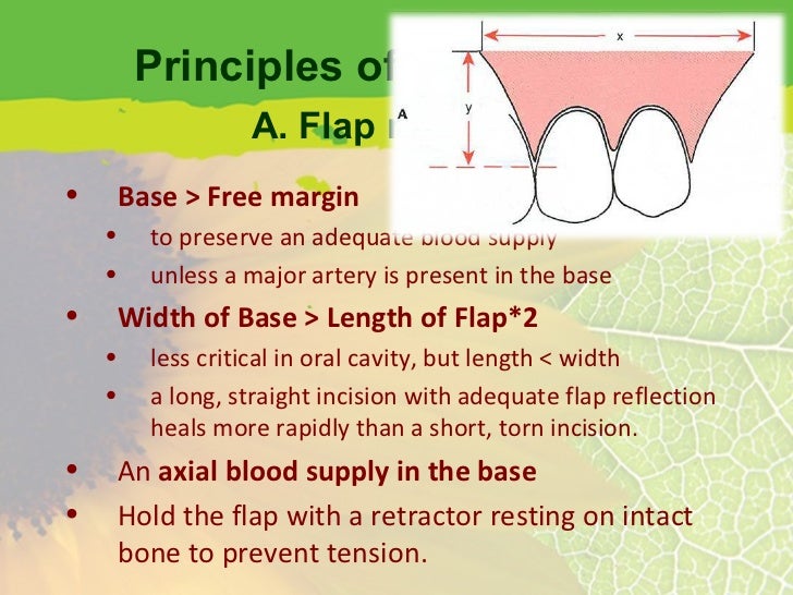 Flap Design for Minor Oral Surgery